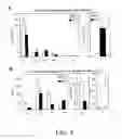 Fig. 05 - IL-21 as a regulator of immunoglobin production