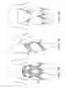 Fig. 07 - Garment