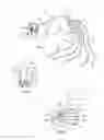 Fig. 03 - Object restraining device and system