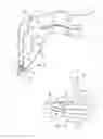 Fig. 05 - Object restraining device and system