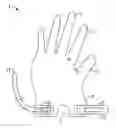 Fig. 01 - Firearm safety gloves and wristbands