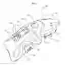 Fig. 03 - Wrist protective supporter for bowling