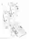 Fig. 04 - Wrist protective supporter for bowling