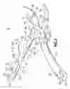 Fig. 03 - Folding multipurpose tool with shears and comfortable handles