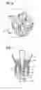 Fig. 06 - Gyrocompass