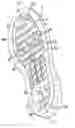 Fig. 01 - Sole for a shoe, boot or sandal