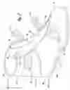Fig. 03 - Waterproof protective overshoe for golf shoes