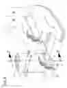 Fig. 04 - Drywall construction device