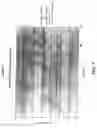 Fig. 08 - Composite filter media