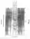 Fig. 09 - Composite filter media