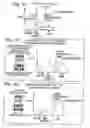 Fig. 35 - Engine system and method for efficient emission control device purging