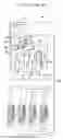 Fig. 02 - Control method for multiple heat pump