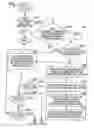 Fig. 24 - System and method for estimating fuel vapor with cylinder deactivation