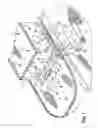 Fig. 02 - Countermeasure washdown system cleaning