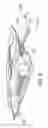 Fig. 03 - Suction tube for inflated objects
