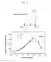 Fig. 02 - Process for producing heat-resistant intermetallic compound Ni3Al foil having room-temperature ductility and heat-resistant intermetallic compound Ni3Al foil having room-temperature ductility