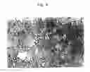 Fig. 05 - Process for producing heat-resistant intermetallic compound Ni3Al foil having room-temperature ductility and heat-resistant intermetallic compound Ni3Al foil having room-temperature ductility