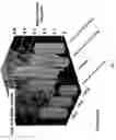 Fig. 08 - Increasing reaction efficiency of acetic acid