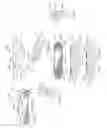 Fig. 04 - Expandable anchor