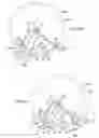 Fig. 06 - Roller cone drill bits with enhanced drilling stability and extended life of associated bearings and seals