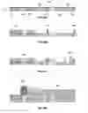 Fig. 30 - Electrochemical fabrication methods incorporating dielectric materials and/or using dielectric substrates