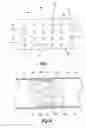 Fig. 07 - Steady streaming particle traps