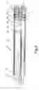 Fig. 08 - Deep fryer