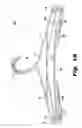 Fig. 04 - Flexible trouser hanger