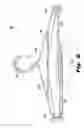 Fig. 07 - Flexible trouser hanger
