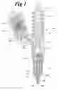 Fig. 02 - Electronic unit injector with pressure assisted needle control