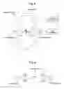 Fig. 03 - Time of flight mass spectrometer