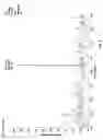 Fig. 08 - Titanium ion transfer components for use in mass spectrometry