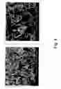 Fig. 05 - Green emitting phosphor material and plasma display panel using the same