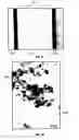 Fig. 10 - Semiconductor device and method of manufacturing the same