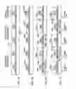 Fig. 08 - Semiconductor device and manufacturing method of the same