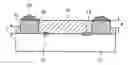 Fig. 01 - Resin-molded semiconductor device having posts with bumps and method for fabricating the same