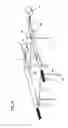 Fig. 06 - Apparatus for carrying crates