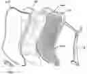 Fig. 01 - Fabric attachment device