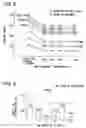 Fig. 06 - Spark plug