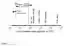 Fig. 03 - Diffusion barrier layer and method for manufacturing a diffusion barrier layer