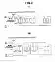 Fig. 04 - Motor and motor drive system