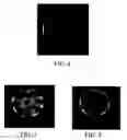 Fig. 05 - Method and apparatus for serial array excitation for high field magnetic resonance imaging