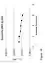 Fig. 17 - Fluid formulation evaluation and improvement utilizing broad spectrum impedance spectroscopy
