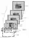 Fig. 06 - System for delivering and enabling interactivity with images
