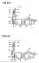 Fig. 22 - Ink bubble removal from ink jet printer