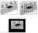 Fig. 01 - Electronic still camera and method of image acquisition of electronic still camera