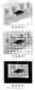 Fig. 05 - Electronic still camera and method of image acquisition of electronic still camera