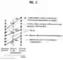 Fig. 03 - Method of converting frame rate of video signal based on motion compensation