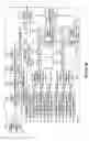 Fig. 07 - Interlaced to progressive scan image conversion