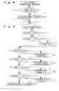 Fig. 05 - Classification apparatus for sport videos and method thereof